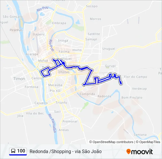 100 Bus Line Map