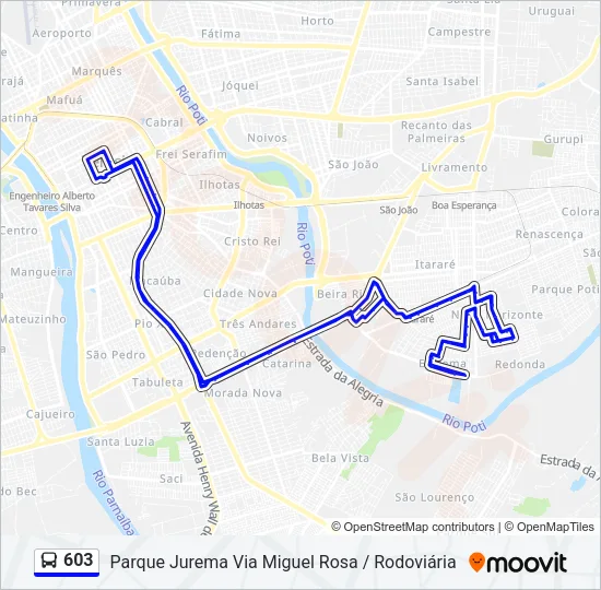 603 Bus Line Map