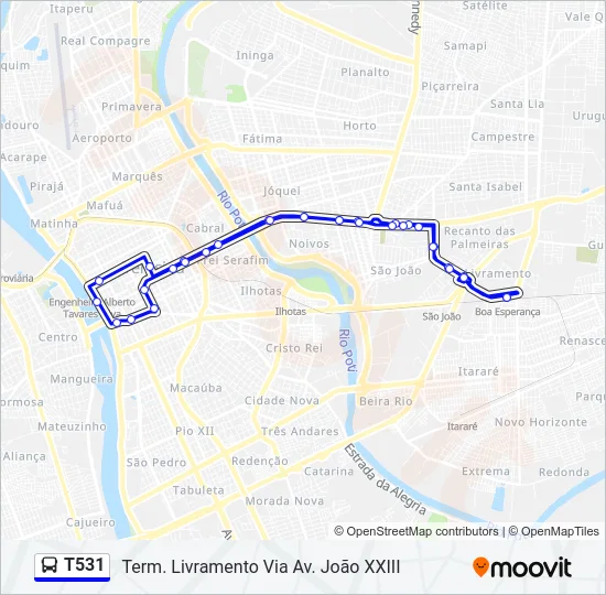 T531 Bus Line Map