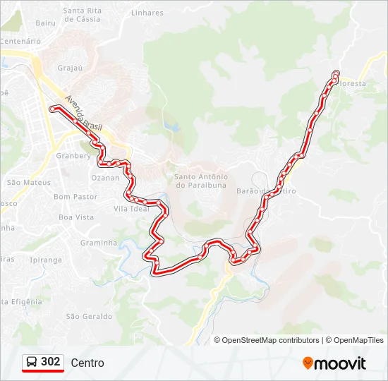 302 Bus Line Map
