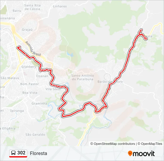 302 Bus Line Map