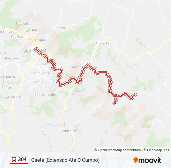 304 Bus Line Map