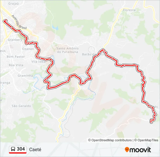 304 Bus Line Map