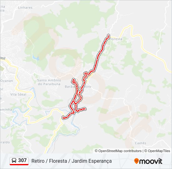 Mapa da linha 307 de ônibus