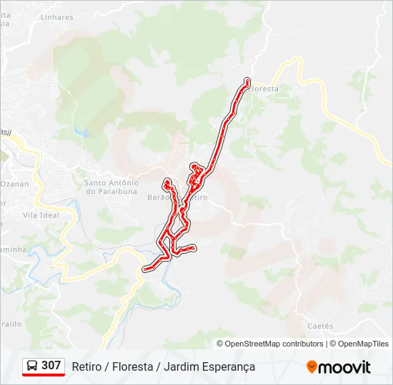 307 Bus Line Map