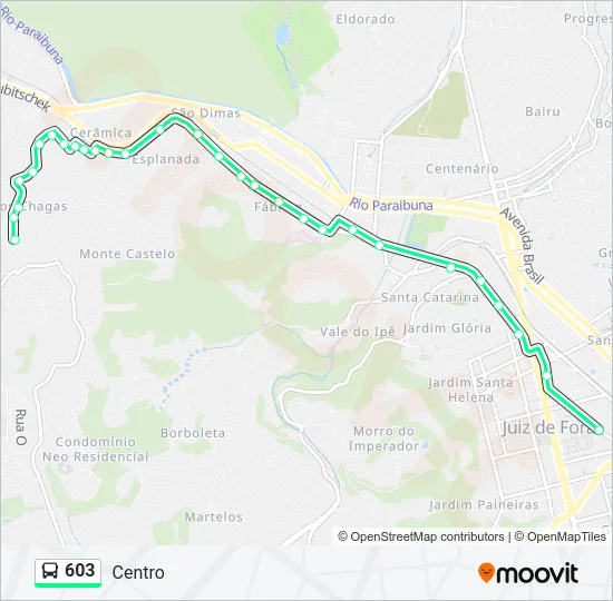 603 Bus Line Map