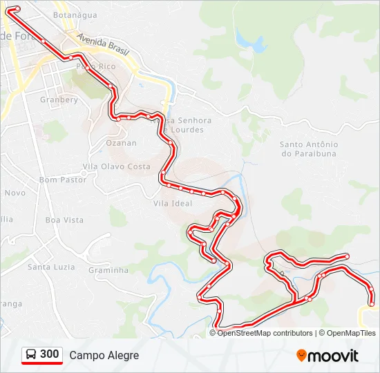 300 Bus Line Map