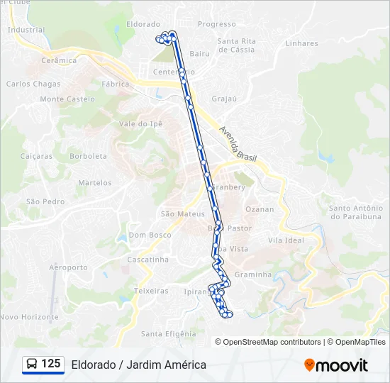 125 Bus Line Map