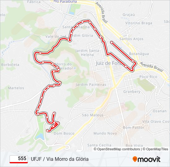 555 Route: Schedules, Stops & Maps - Centro / Via Morro Da Glória (Updated)