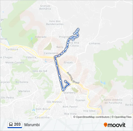 203 Bus Line Map