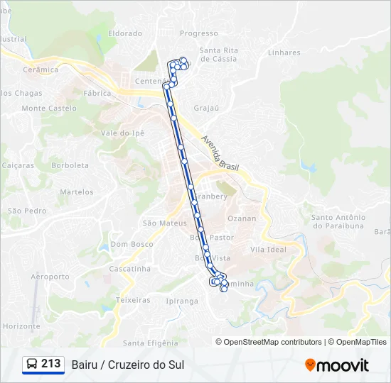 213 Bus Line Map