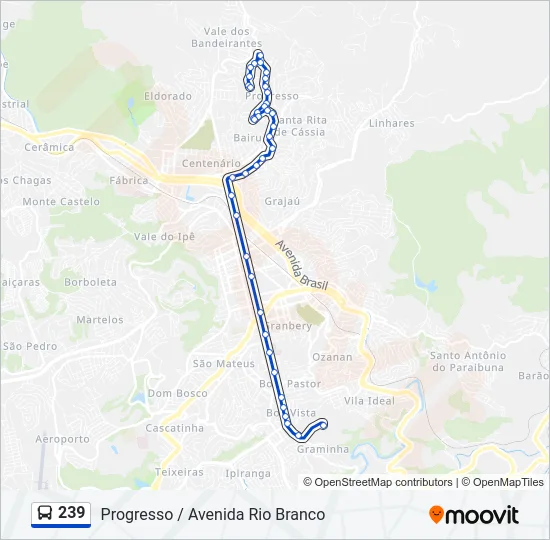 239 Bus Line Map