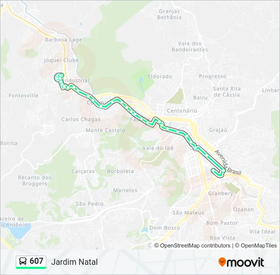 607 Bus Line Map