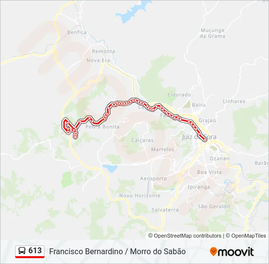 613 Bus Line Map