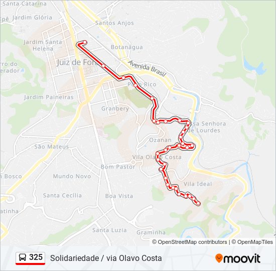 325 Route: Schedules, Stops & Maps - Solidariedade (Updated)