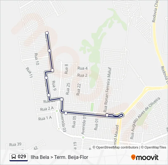 029 Bus Line Map