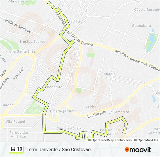 10 Bus Line Map