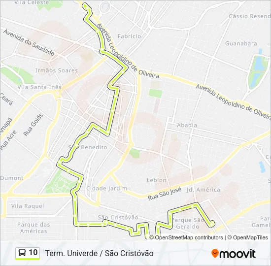 10 Bus Line Map