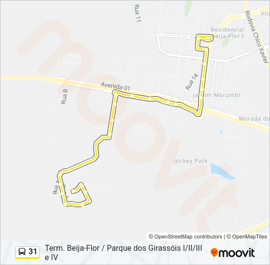 31 Bus Line Map