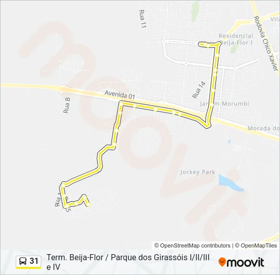 31 Bus Line Map