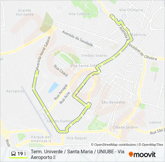 19 ✈ Bus Line Map