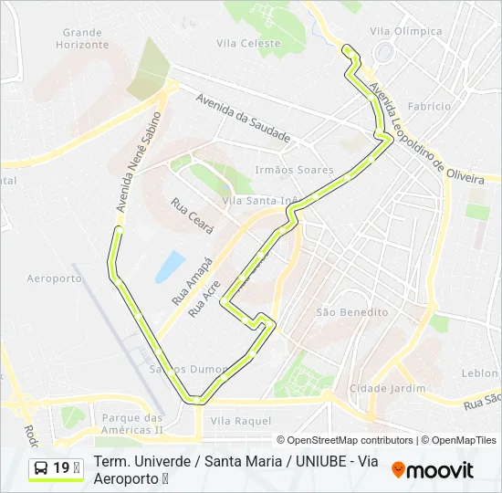 19 ✈ Bus Line Map