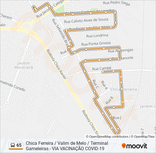 Mapa de 65 de autobús