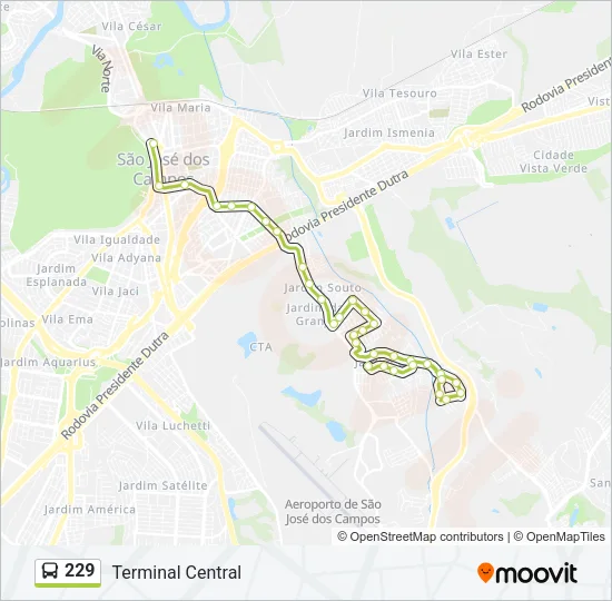 229 Bus Line Map