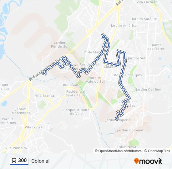 300 Bus Line Map