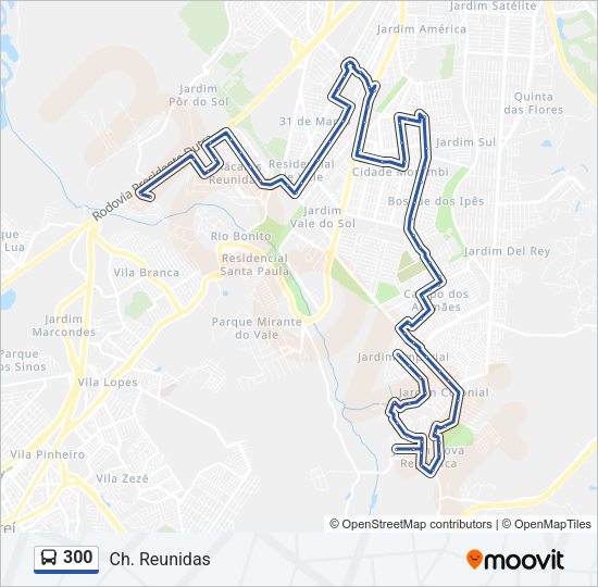 Mapa da linha 300 de ônibus