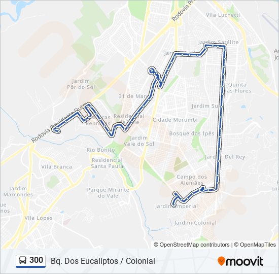  Mapa do Tesouro (Portuguese Edition) eBook : Pontes