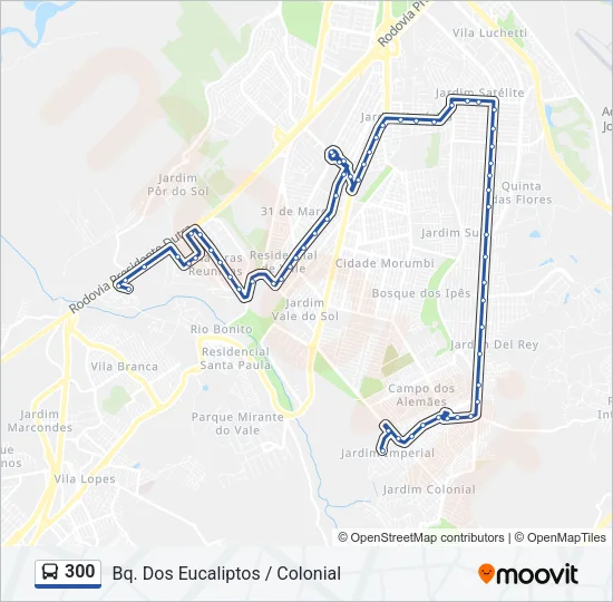 300 Bus Line Map