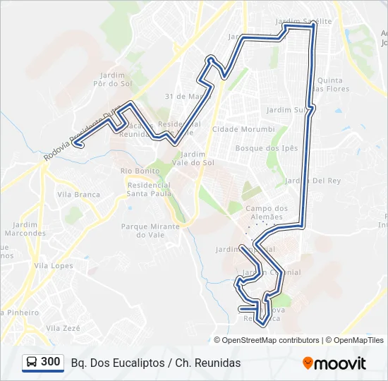300 Bus Line Map