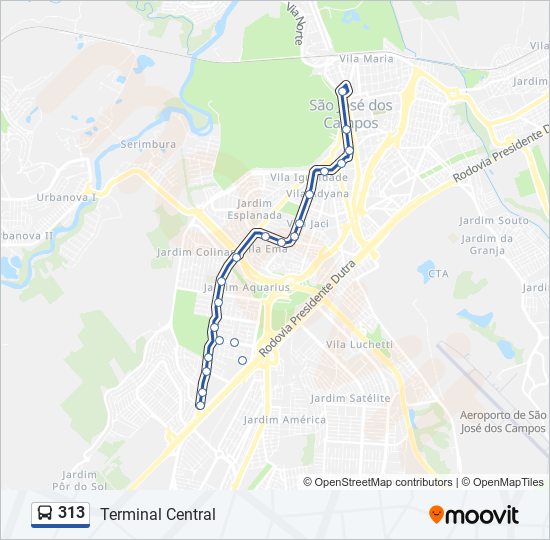 313 bus Line Map