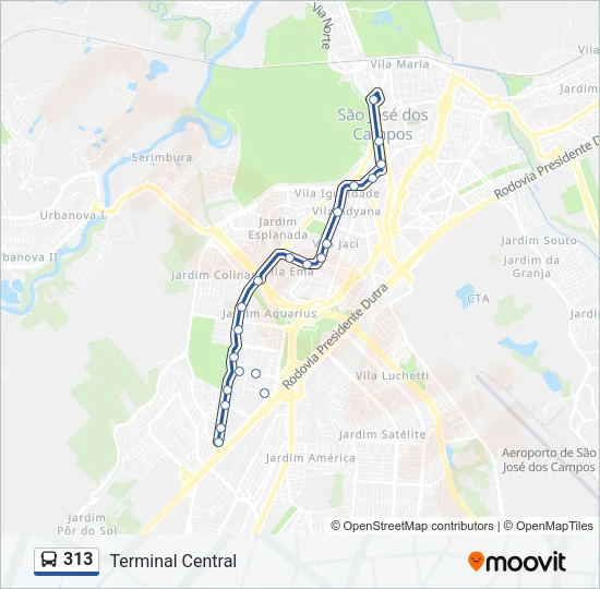 313 Bus Line Map