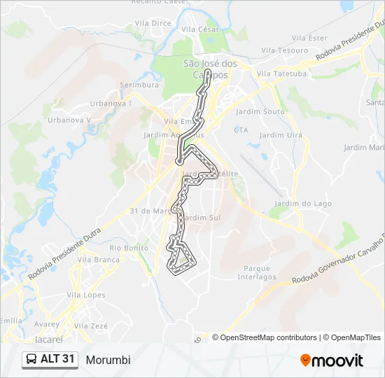 ALT 31 Bus Line Map