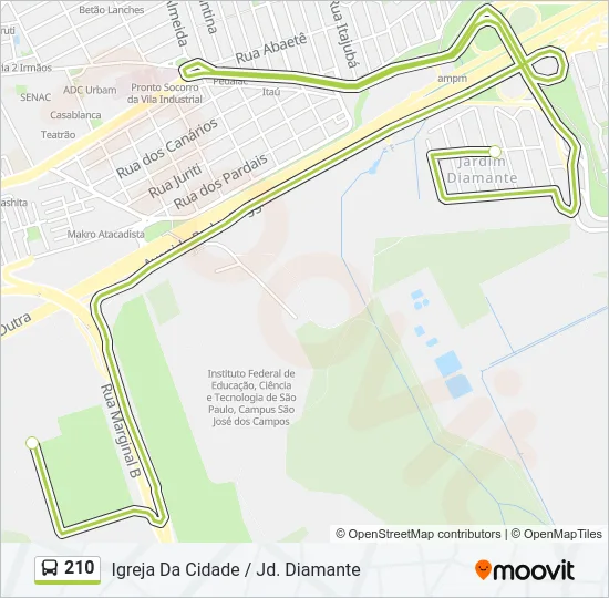 210 Bus Line Map