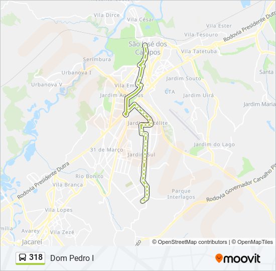 Mapa de 318 de autobús