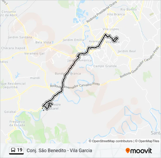 19 Bus Line Map
