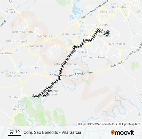 19 Bus Line Map
