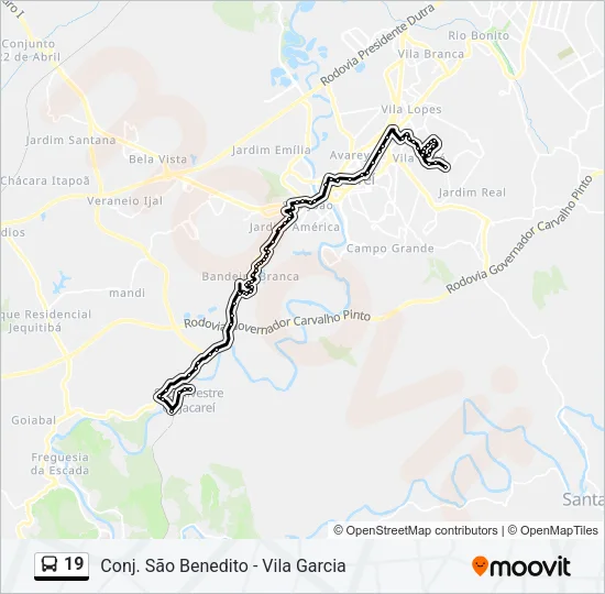 19 Bus Line Map