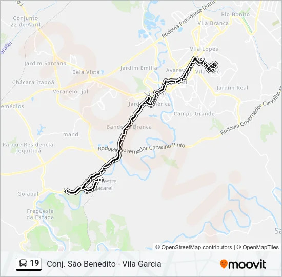 19 Bus Line Map