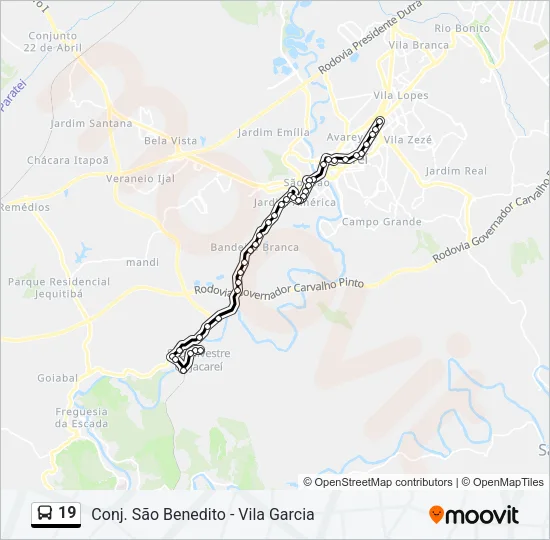 19 Bus Line Map