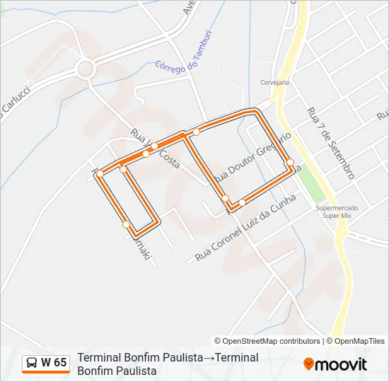 W 65 Bus Line Map