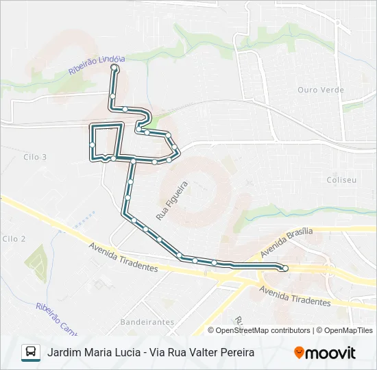 313 MARIA LUCIA Bus Line Map