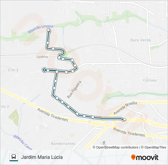 313 MARIA LUCIA Bus Line Map