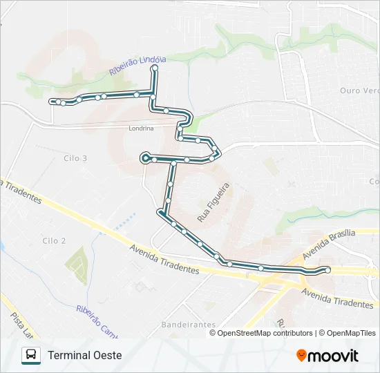 313 MARIA LUCIA Bus Line Map