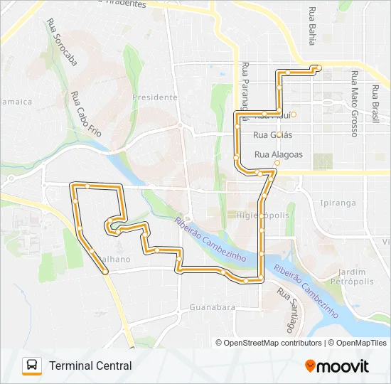 229 GLEBA PALHANO Bus Line Map