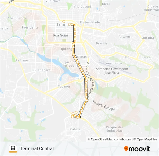 601 TERMINAL ACAPULCO / TERMINAL CENTRAL - PARADOR Bus Line Map