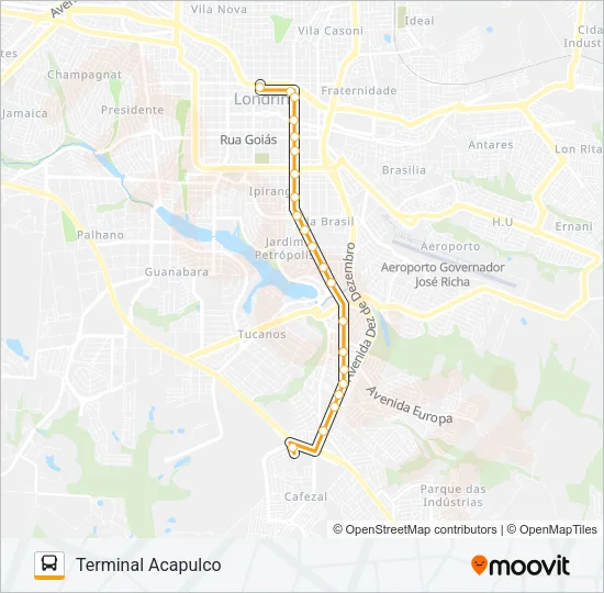 601 TERMINAL ACAPULCO / TERMINAL CENTRAL - PARADOR Bus Line Map
